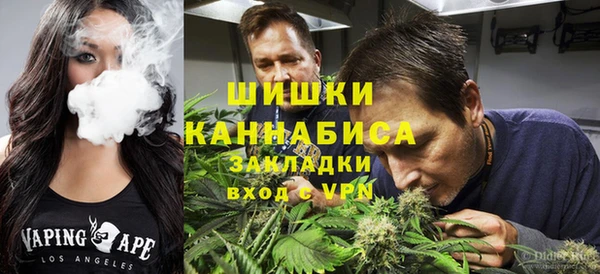 трава Новокубанск