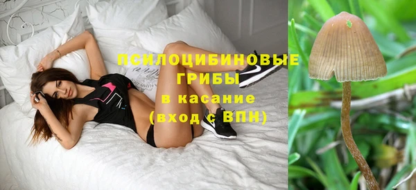 мдма Новозыбков