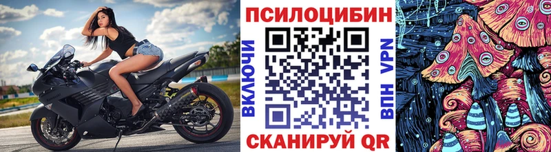 Галлюциногенные грибы Psilocybe  Шахты 